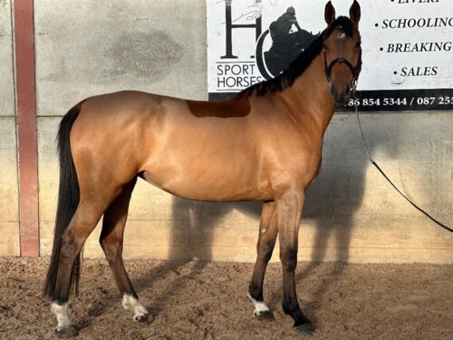 e04c6c64-b835-4101-8d3c-4398f6342693 e04c6c64-b835-4101-8d3c-4398f6342693