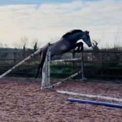 de07f928-fcd1-47c6-a181-3d347d6737df