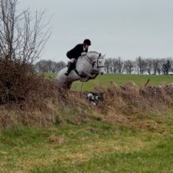 9D9A29E3-AA7A-4B3F-83CC-BB155E8B815A