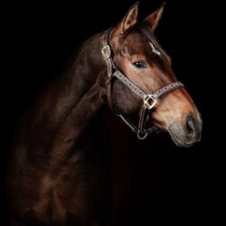 WhatsApp Image 2025-12-15 at 11.40.23