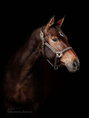 WhatsApp Image 2025-12-15 at 11.40.23 WhatsApp Image 2025-12-15 at 11.40.23