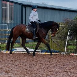 898cad38-90eb-4417-a4ce-5c169ab30b46