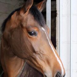 15d9f1ff-e2bd-40f1-82fd-5a0fe340d4bb