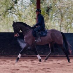 385e1722-3d2f-4c33-a1d5-d39c5387fc16