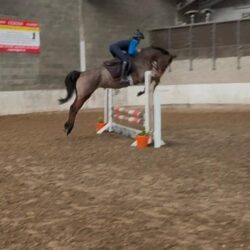 Lucy jumpIMG-20260314-WA0004