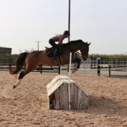 43aea51c-cb8e-435b-835b-41eed8abb992