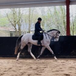 1cbea386-6f3c-40cd-811e-ad79e71388ac