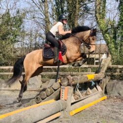 50984a86-5671-4a90-91c4-876963c585fc