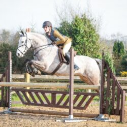 7d2704db-e1de-419c-8af1-a169145ef95f