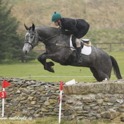 Kildare Per Young 29-3-26 00197