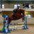 Wexford Equestrian-280
