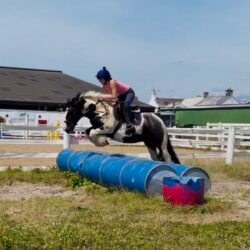 IMG_3480