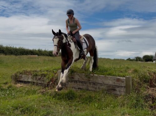 IMG_3103 IMG_3103